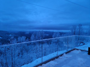Infinity Dvori